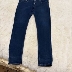 Express Midnight Blue Skinny Jeans